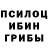 Псилоцибиновые грибы Psilocybine cubensis poofy poofy